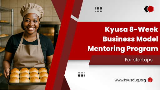 Business Model Mentoring Program